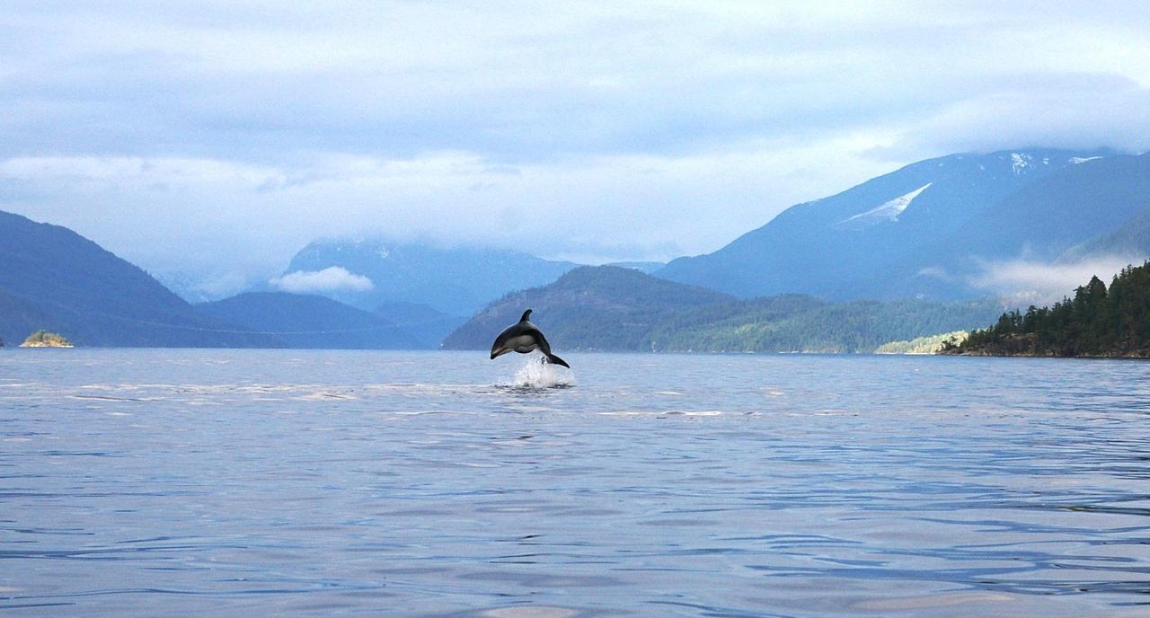 Lodge The Tuwanek And Sechelt